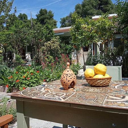 Hotel Stamatia'S Garden Agnontas Exterior foto