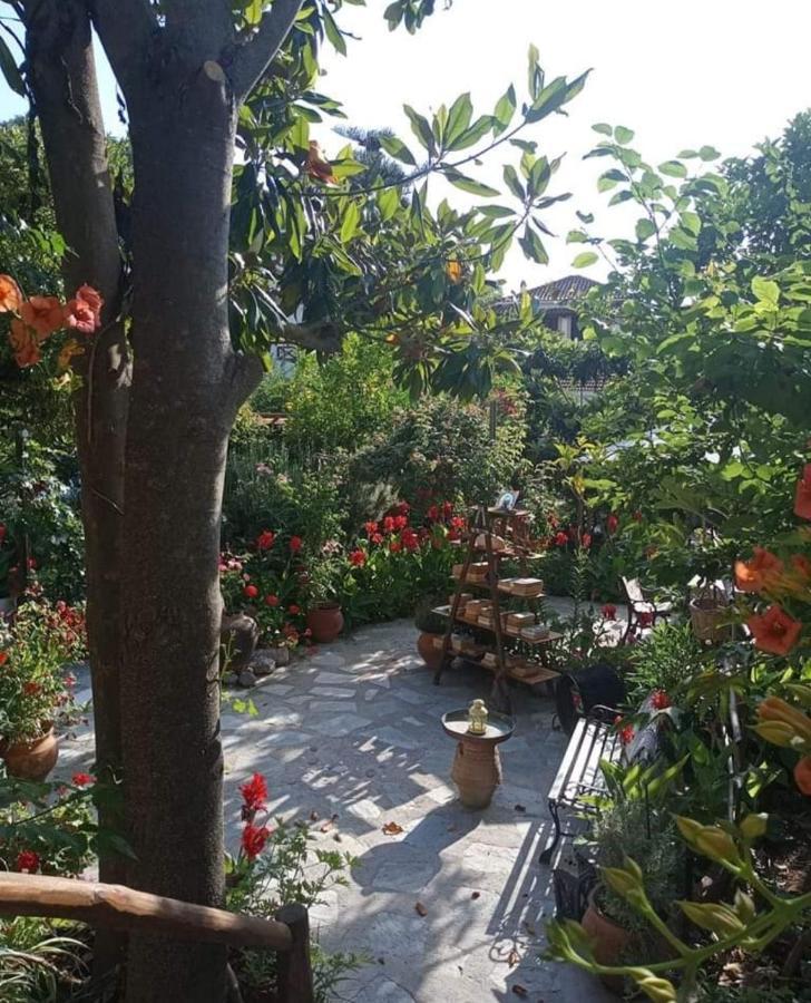 Hotel Stamatia'S Garden Agnontas Exterior foto