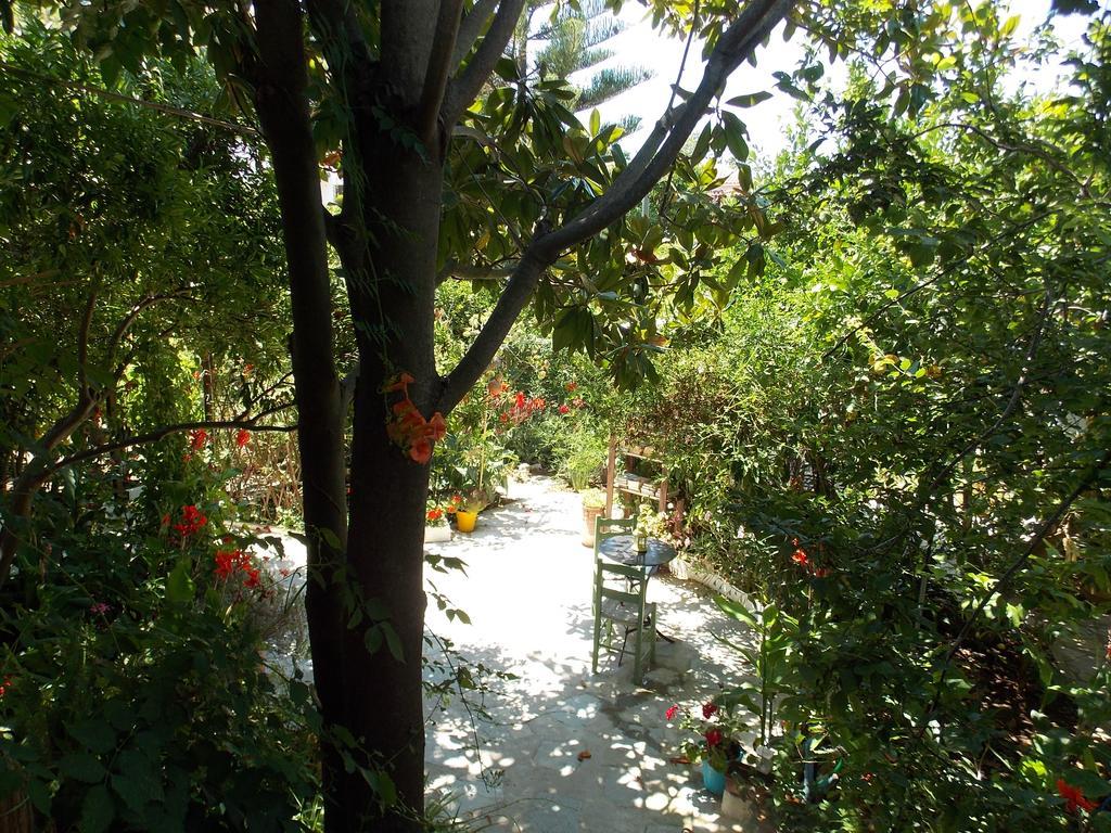 Hotel Stamatia'S Garden Agnontas Exterior foto