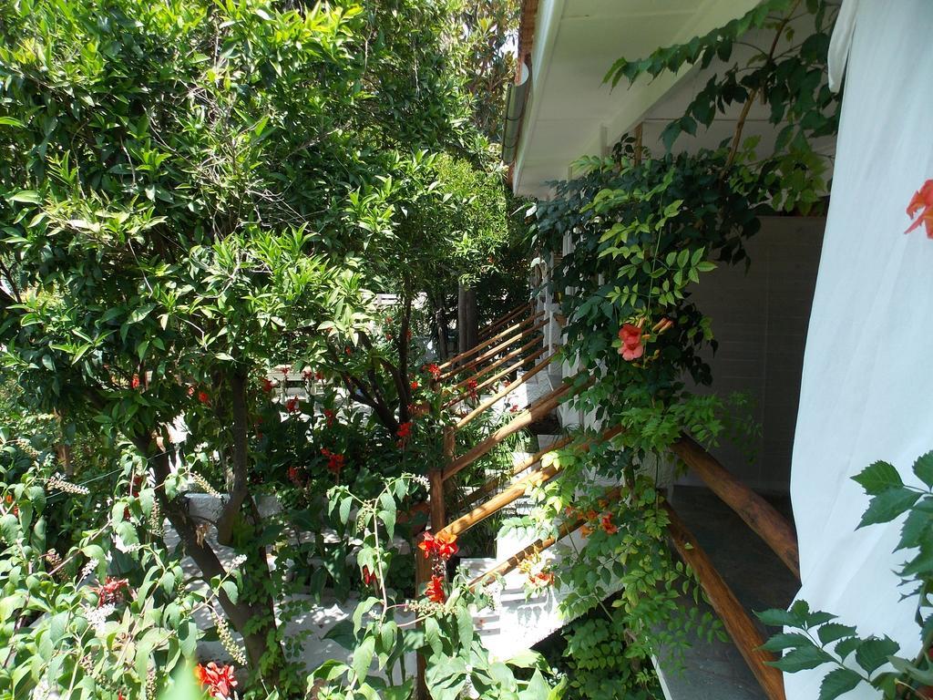 Hotel Stamatia'S Garden Agnontas Exterior foto
