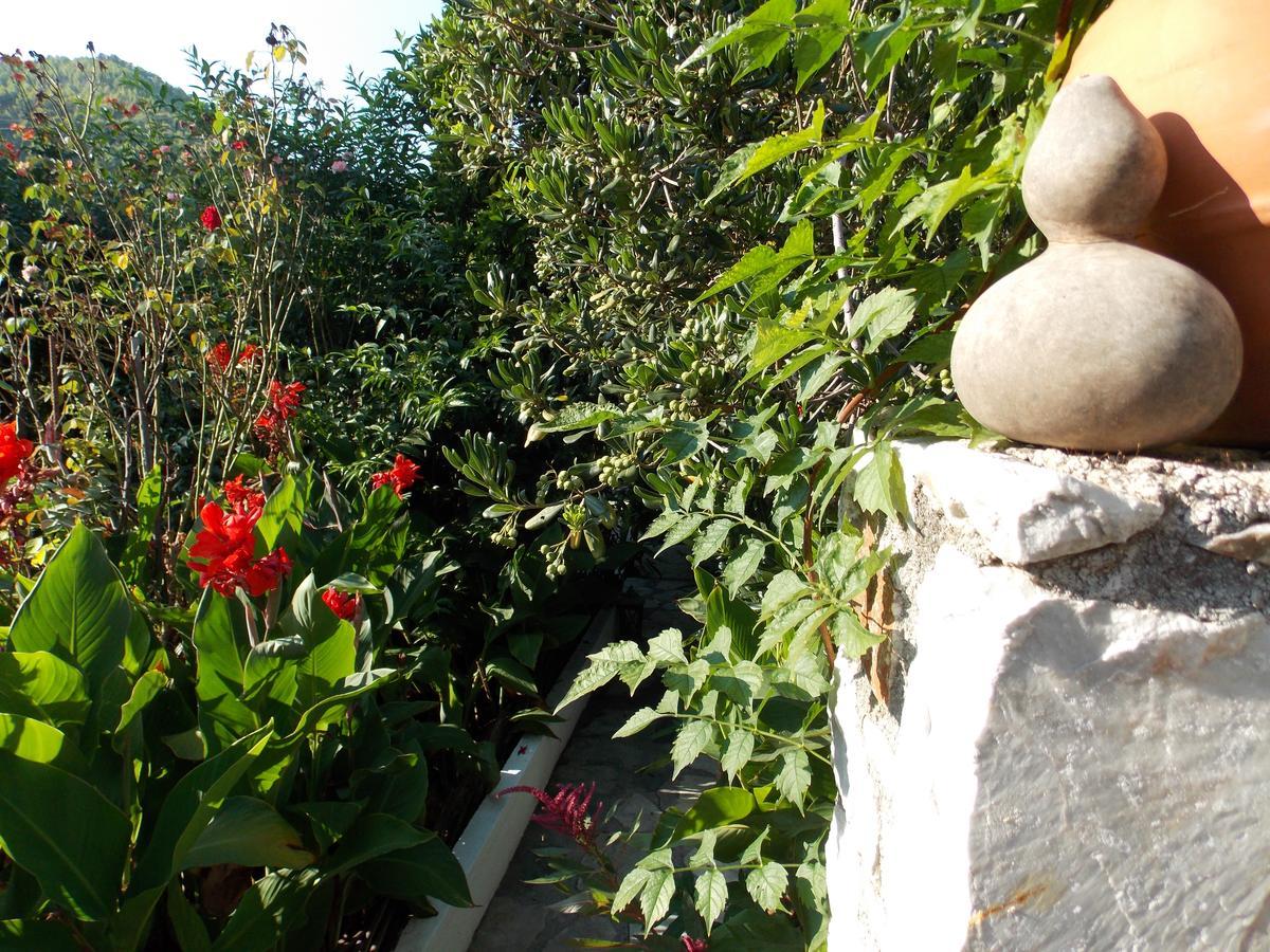 Hotel Stamatia'S Garden Agnontas Exterior foto