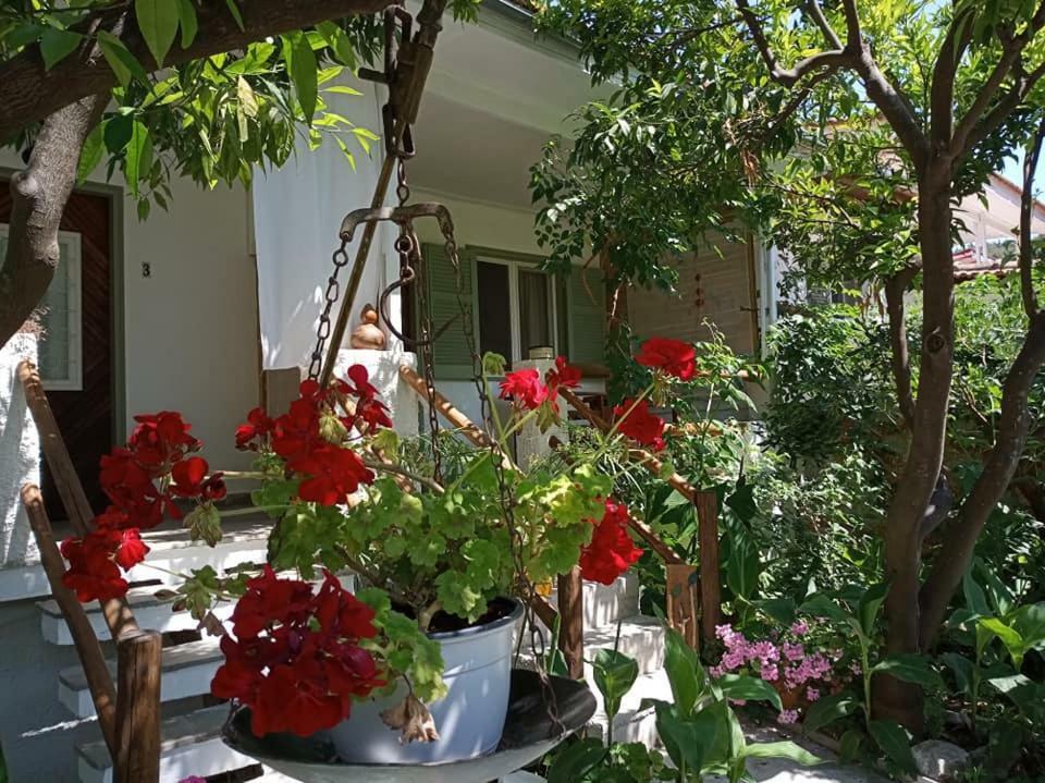 Hotel Stamatia'S Garden Agnontas Exterior foto