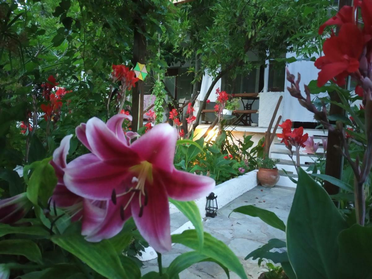 Hotel Stamatia'S Garden Agnontas Exterior foto