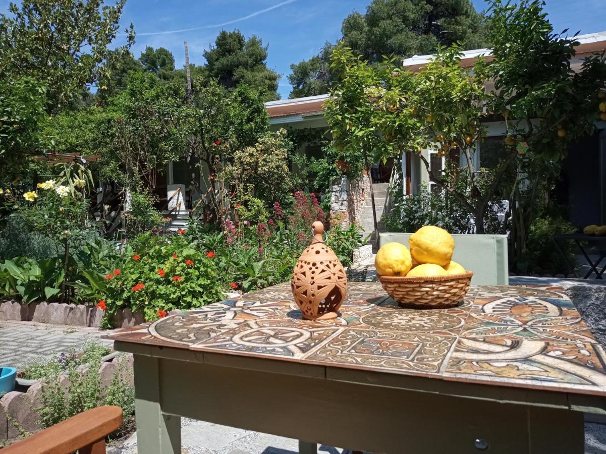 Hotel Stamatia'S Garden Agnontas Exterior foto