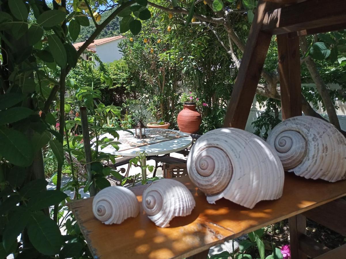 Hotel Stamatia'S Garden Agnontas Exterior foto