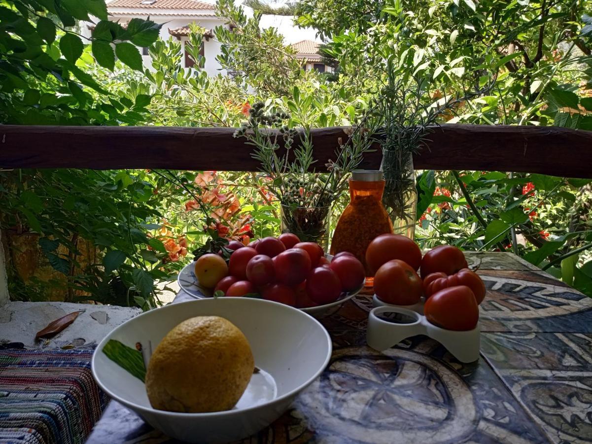 Hotel Stamatia'S Garden Agnontas Exterior foto